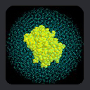 Solvent Accessible Surface