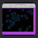 Peak Detection, Automated Identification of Peak Overlap